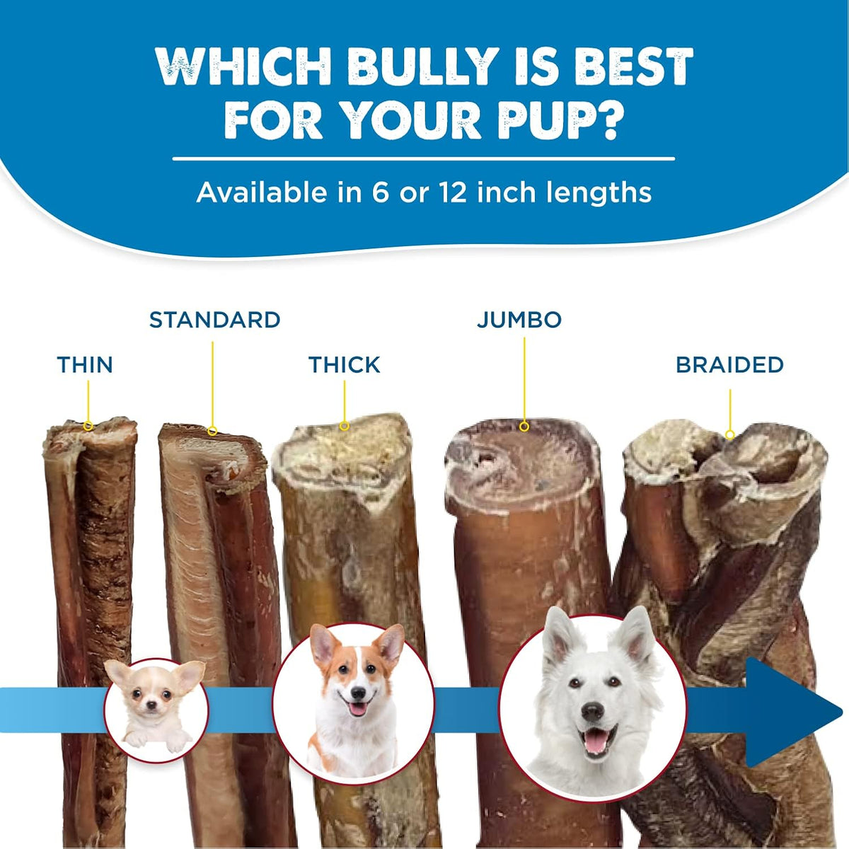 Best Bully Sticks 6 Inch Bully Sticks for Dogs - 5 Count (Pack of 1) - All-Natural, Easily Digestible, 100% Grass-Fed Beef, Grain and Rawhide Free - Trial Size