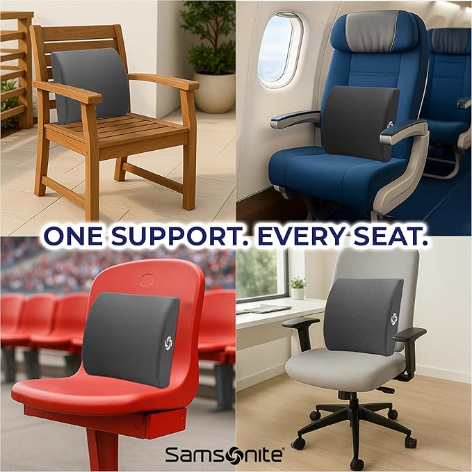 Samsonite Ergonomic Lumbar Support Pillow for Office Chair and Car Seat - Memory Foam Back Support Lumbar Pillow Premium Cushion Chair Support for Lower Back Pain Relief and Versatile Use (Charcoal)