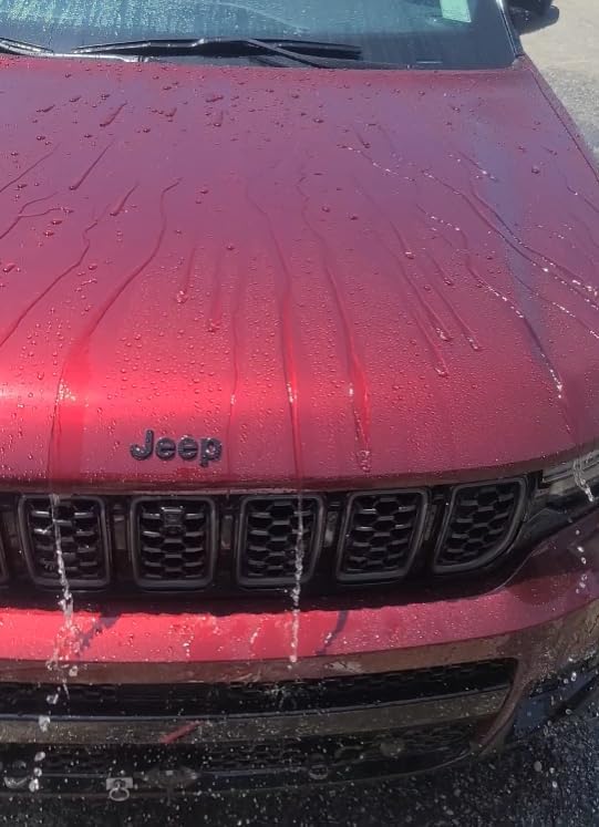 Socar Best-in-Show Car Wax and Sealant, UV Protectant. Professionnal Grade for Cars, SUV, Trucks, RV, Motorcycles, Boats. Protective Layer for Scratches & Wear, Bugs, Birds, & Pollen, 16 oz