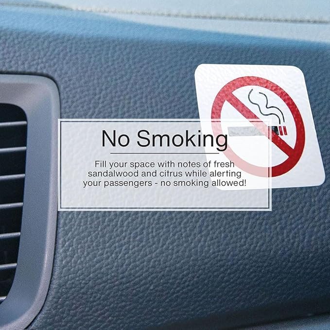 Little Trees Car Air Freshener 6-Pack (NO Smoking)