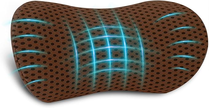 Lumbar Pillow, Memory Foam Lumbar Support Pillow for Office Chair and Car Seat, Ergonomic Streamline Back Pillow for Lower Back Pain Relief, Back Support Pillow for Sitting, Driving, Traveling