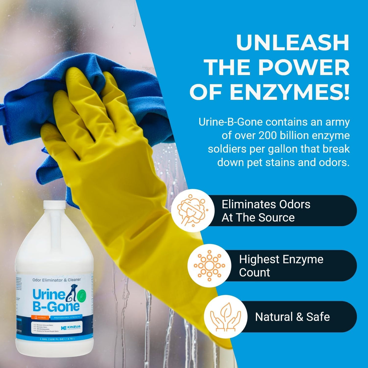 KINZUA ENVIRONMENTAL Urine B-Gone, Professional Enzyme Odor Eliminator & Pet Stain Remover, Human, Cat & Dog Urine Cleaner, Effective on Laundry, Carpets & More, Citrus Scent, 1 Gallon