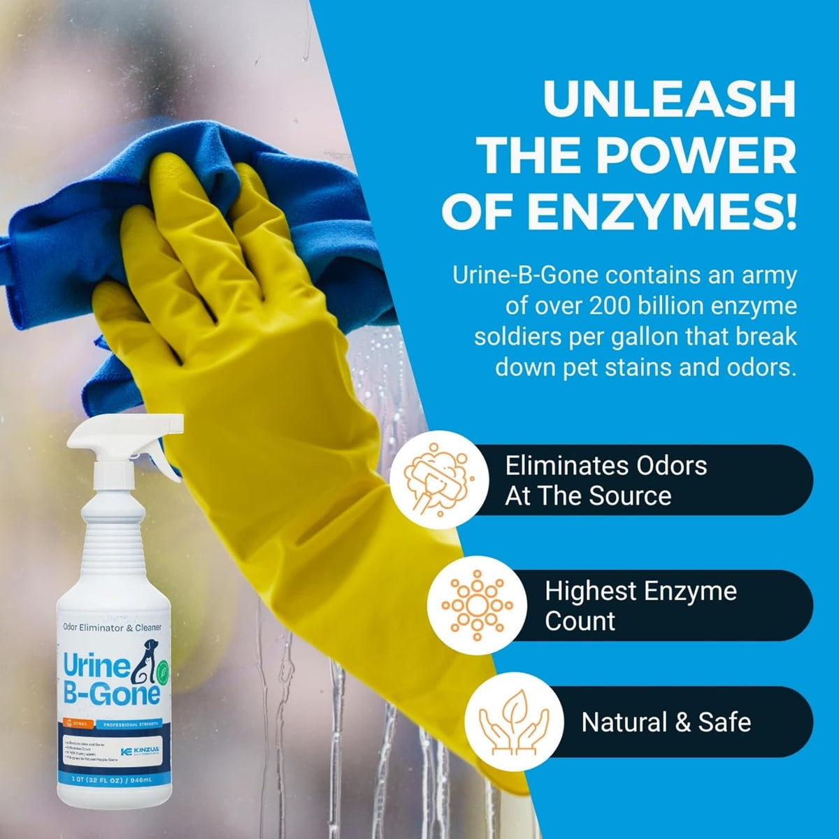 KINZUA ENVIRONMENTAL Urine B-Gone, Professional Enzyme Odor Eliminator & Pet Stain Remover, Human, Cat & Dog Urine Cleaner, Effective on Laundry, Carpets & More, Citrus Scent, 32oz