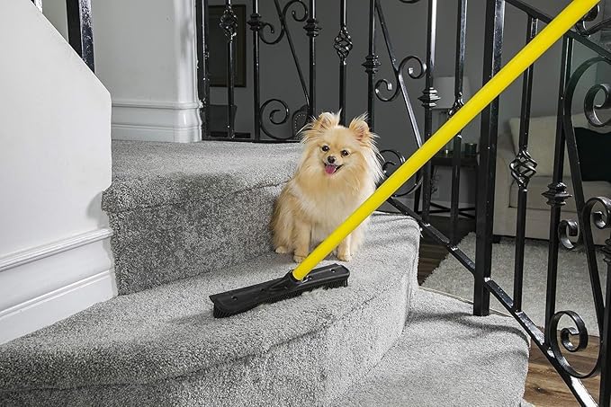 FURemover Original Pet Hair Rubber Broom with Squeegee, with 58" Telescopic Handle for Carpet, Tile and Hardwood