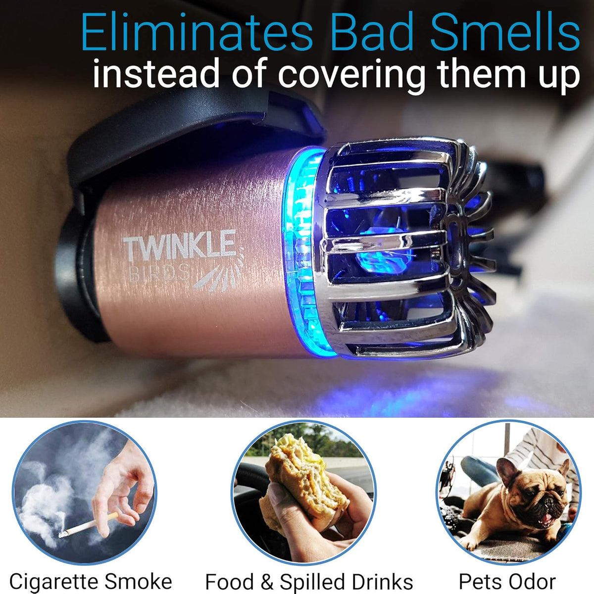 Car Air Purifier Ionizer - 12V Plug-in Ionic Anti-Microbial Car Deodorizer with Dual USB Charger - Smoke Smell, Pet and Food Odors, Allergens, Viruses Eliminator for Car (Matte Copper)