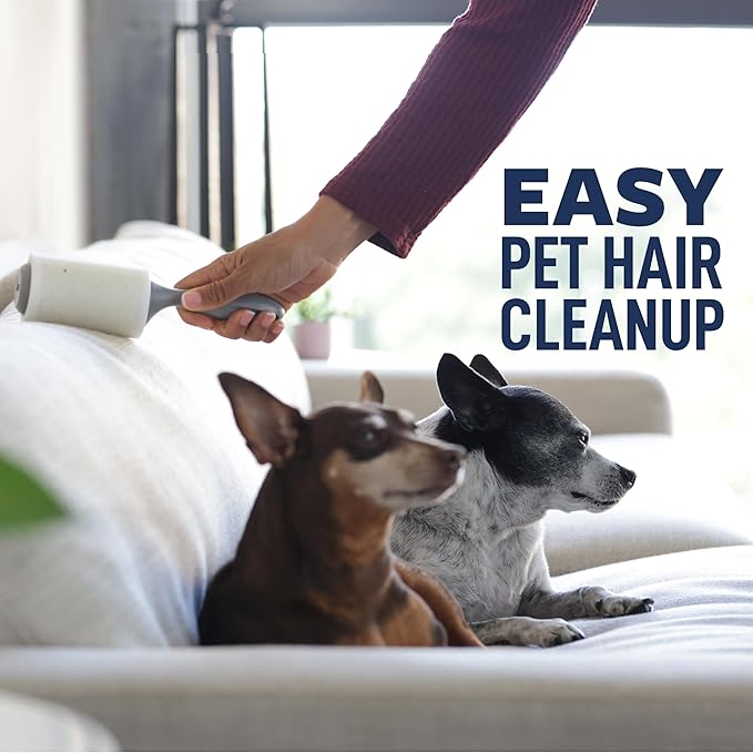 Scotch-Brite Everyday Clean Lint Roller, Lint Remover for Pet Hair, Dark Clothes, Furniture, and Dusty Surfaces, Picks Up Fur & Fluff in Your Home, Car, & Office, 1 Pack, 100 Adhesive Sheets Total