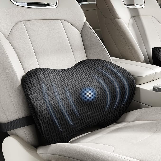 Lumbar Support Pillow for Car, Ergonomic Back Cushion with Strap, Memory Foam Lower Back Support Cushion for Driving, Lumbar Pillow for Pain Relief, for Office Chair, Long Sitting (Black 4D Mesh)