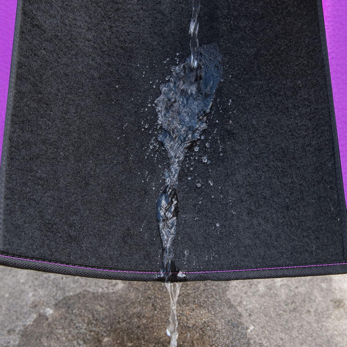 CAR PASS Waterproof Universal Fit Car Floor Mats, Faux Leather Car Carpet Mats with Anti-Slip Nibbs Backing & Driver Heel Pad Fit for SUV,Vans,sedans, Trucks,Set of 4pcs for Women (Black with Purple)